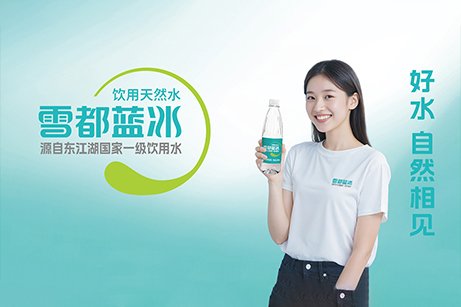 雪都藍(lán)冰品牌策劃,雪都藍(lán)冰logo設(shè)計